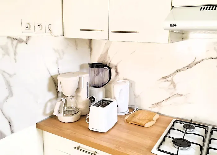 T2 Bis Centre Historique